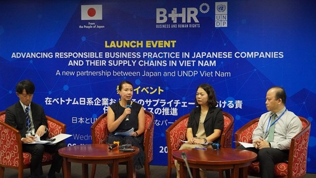 UNDP, Japan help foster responsible business practice in Viet Nam  - Ảnh 1.
