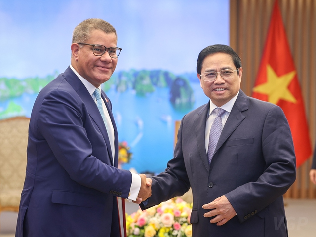 Prime Minister hosts reception for COP26 President - Ảnh 1.