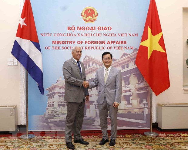 Viet Nam, Cuba hold seventh political consultation - Ảnh 1.
