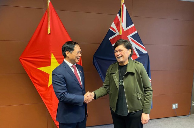 First Viet Nam-New Zealand Foreign Ministers’ Meeting held  - Ảnh 1.