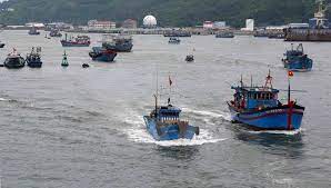 IUU fishing prevention and control plan by 2025 approved  - Ảnh 1.