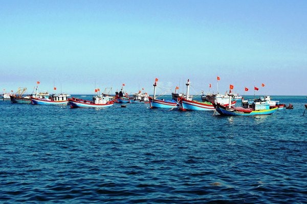 Gov’t ratifies national fishing development program for 2022-2025   - Ảnh 1.