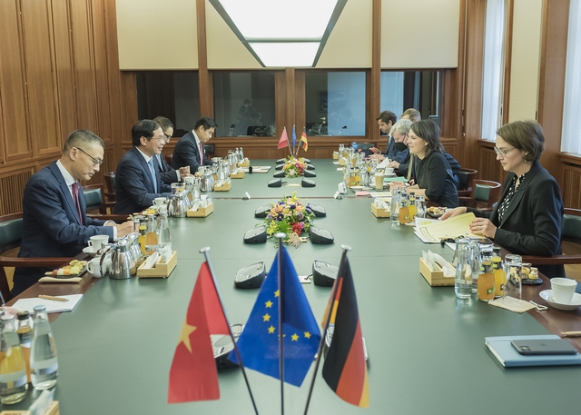 Vietnamese Foreign Minister holds talks with German counterpart - Ảnh 3.