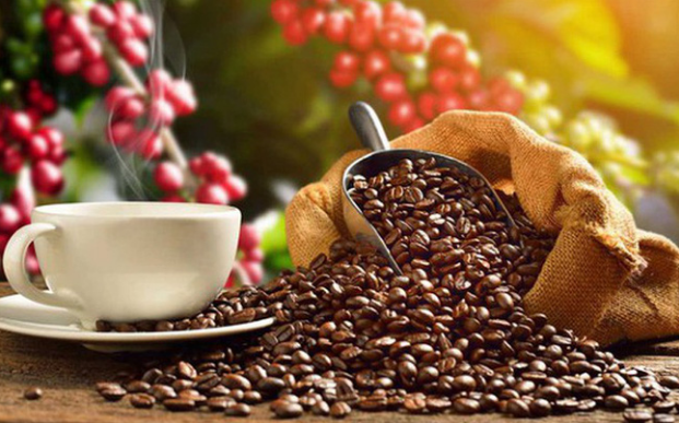 Expecting coffee exports to hit a record $4 billion - Ảnh 1.