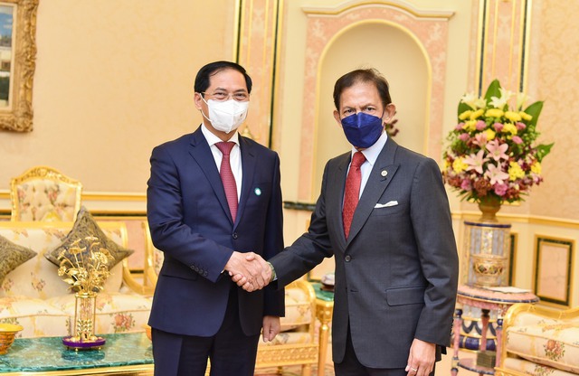 Sultan of Brunei: Viet Nam is crucial partner of Brunei - Ảnh 1.