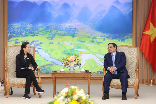 Prime Minister receives leader of Global Alliance for Vaccines and Immunization - Ảnh 1.