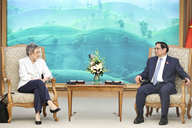 Viet Nam seeks France’s support to combat infectious diseases- Ảnh 1.