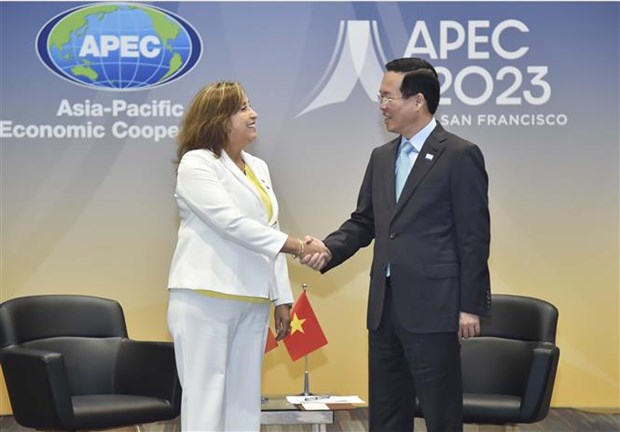 President meets Australian, Peruvian leaders on sidelines of APEC Economic Leaders’ Week- Ảnh 2.