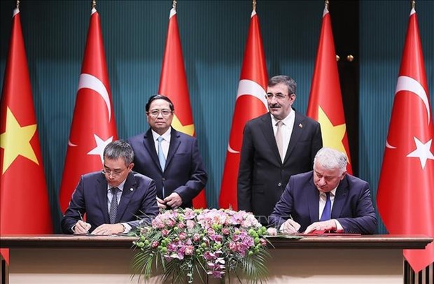 Vietnamese, Turkish national flag carriers enhance cooperation in goods transport- Ảnh 1.