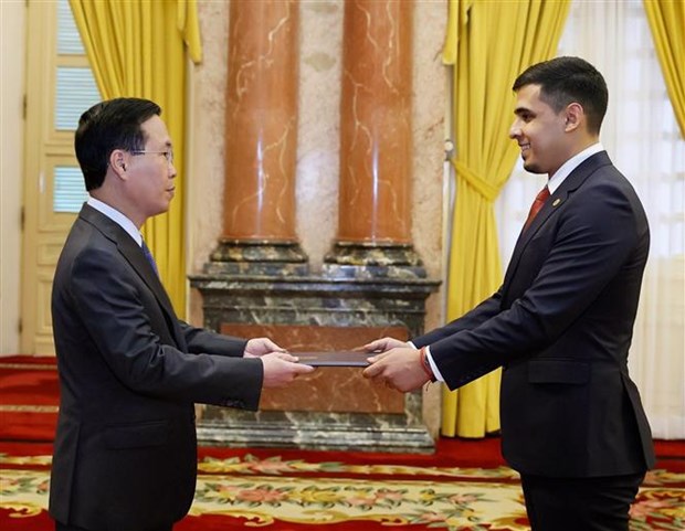 Ambassadors of Venezuela and Laos present credentials to President - Ảnh 1.