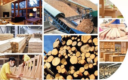 Forestry sector targets US$17.5 billion in export revenue in 2024- Ảnh 1.