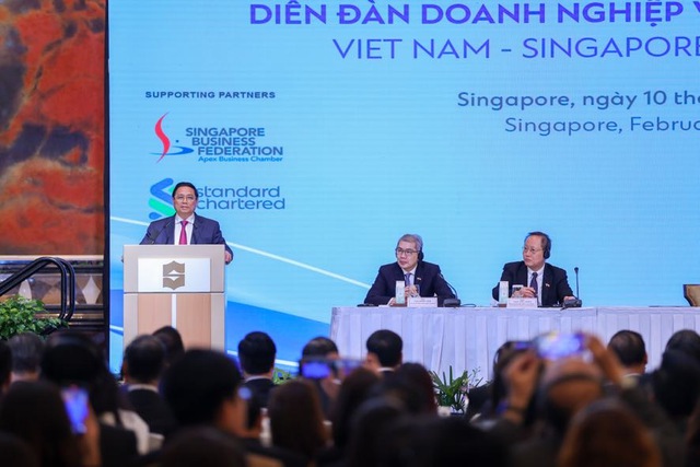 Prime Minister attends Viet Nam-Singapore Business Forum - Ảnh 1.