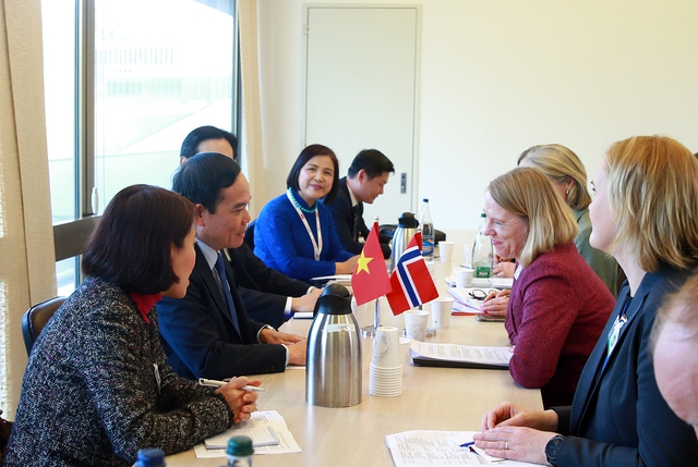 Deputy PM meets UN Secretary-General, foreign leaders in Switzerland  - Ảnh 4.