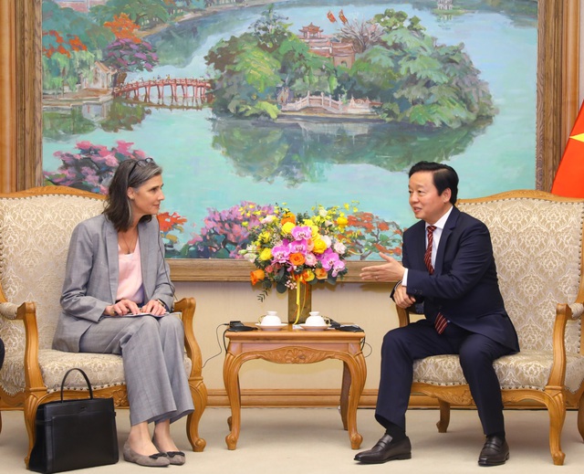 DPM receives UNDP, USAID officials - Ảnh 1.