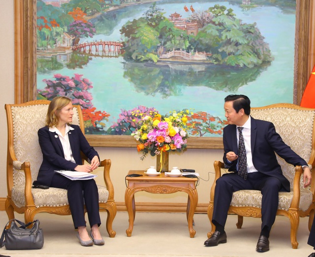 DPM receives UNDP, USAID officials - Ảnh 3.