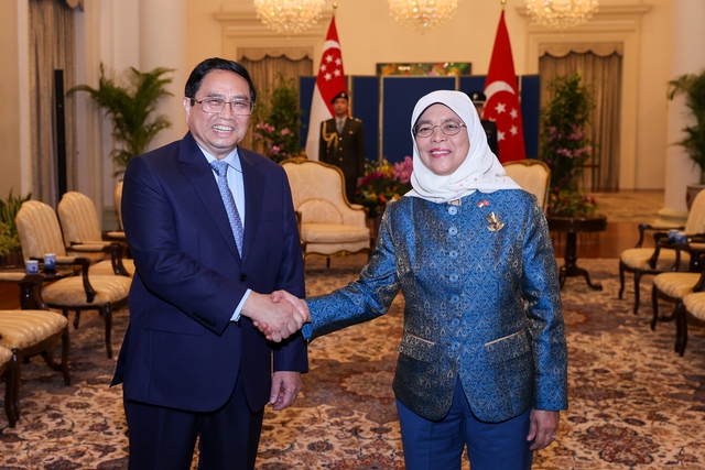 Prime Minister meets Singaporean President  - Ảnh 1.