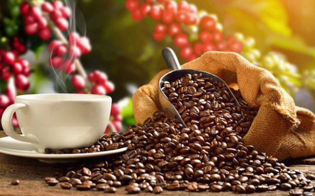 Viet Nam becomes biggest coffee supplier for Spain  - Ảnh 1.