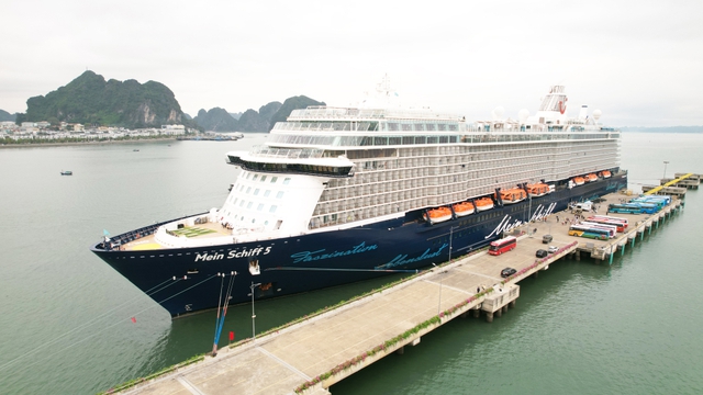 Int’l cruise passengers flock to Viet Nam - Ảnh 1.