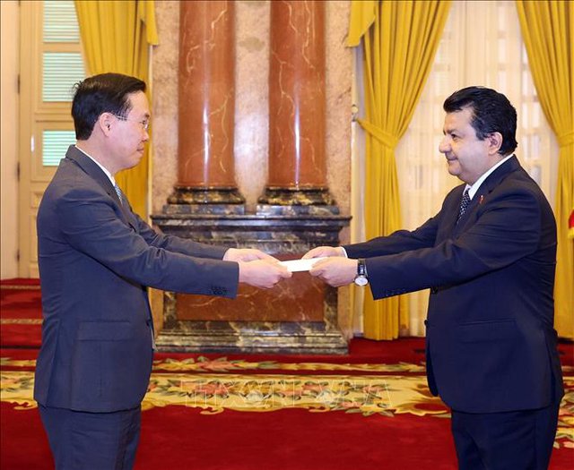 President receives credentials of new ambassadors  - Ảnh 4.