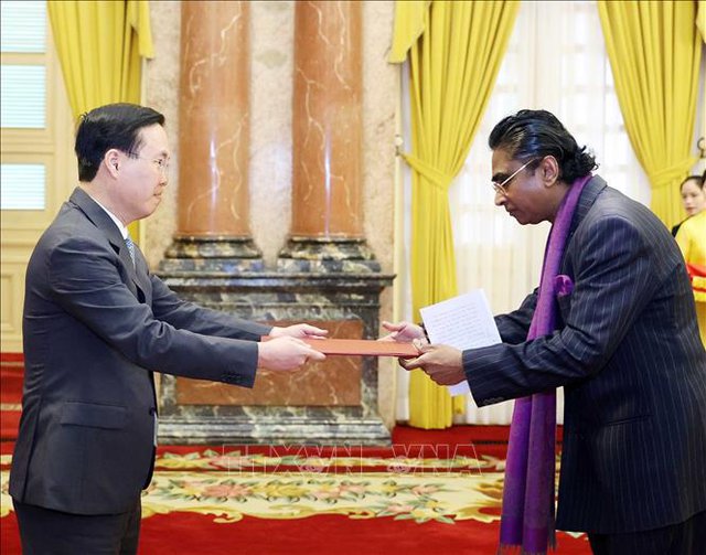 President receives credentials of new ambassadors  - Ảnh 3.