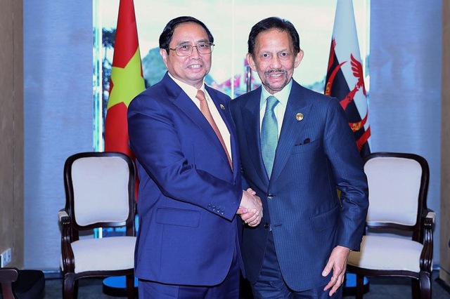 Viet Nam, Brunei boost diverse trade linkages  - Ảnh 1.