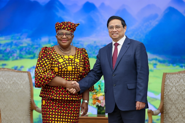 Prime Minister receives WTO leader - Ảnh 1.