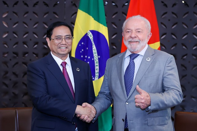 PM calls for Brazil's support for early negotiation of FTA with MERCOSUR - Ảnh 1.