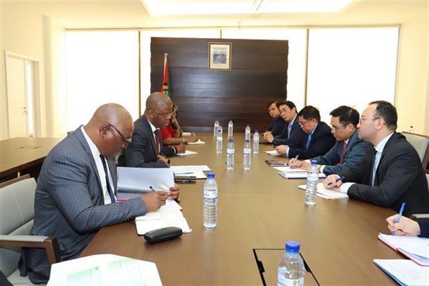 Viet Nam, Mozambique promote stronger agriculture ties - Ảnh 1.