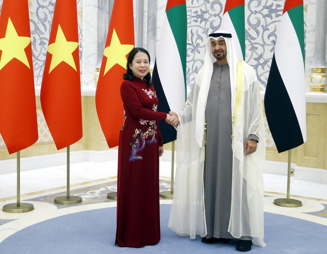 Viet Nam treasures multi-faceted relations with UAE: Vice President  - Ảnh 1.