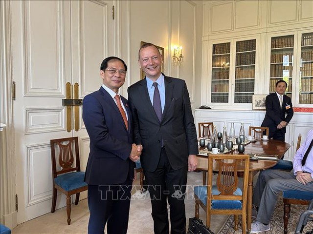 Foreign Minister meets foreign leaders in Paris - Ảnh 3.