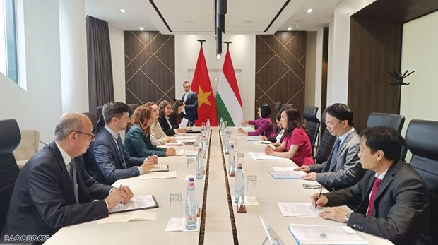 Promoting comprehensive partnership between Viet Nam and Hungary - Ảnh 1.