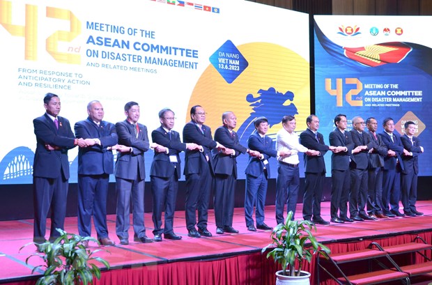 Da Nang hosts 42nd meeting of ASEAN Committee on Disaster Management  - Ảnh 1.