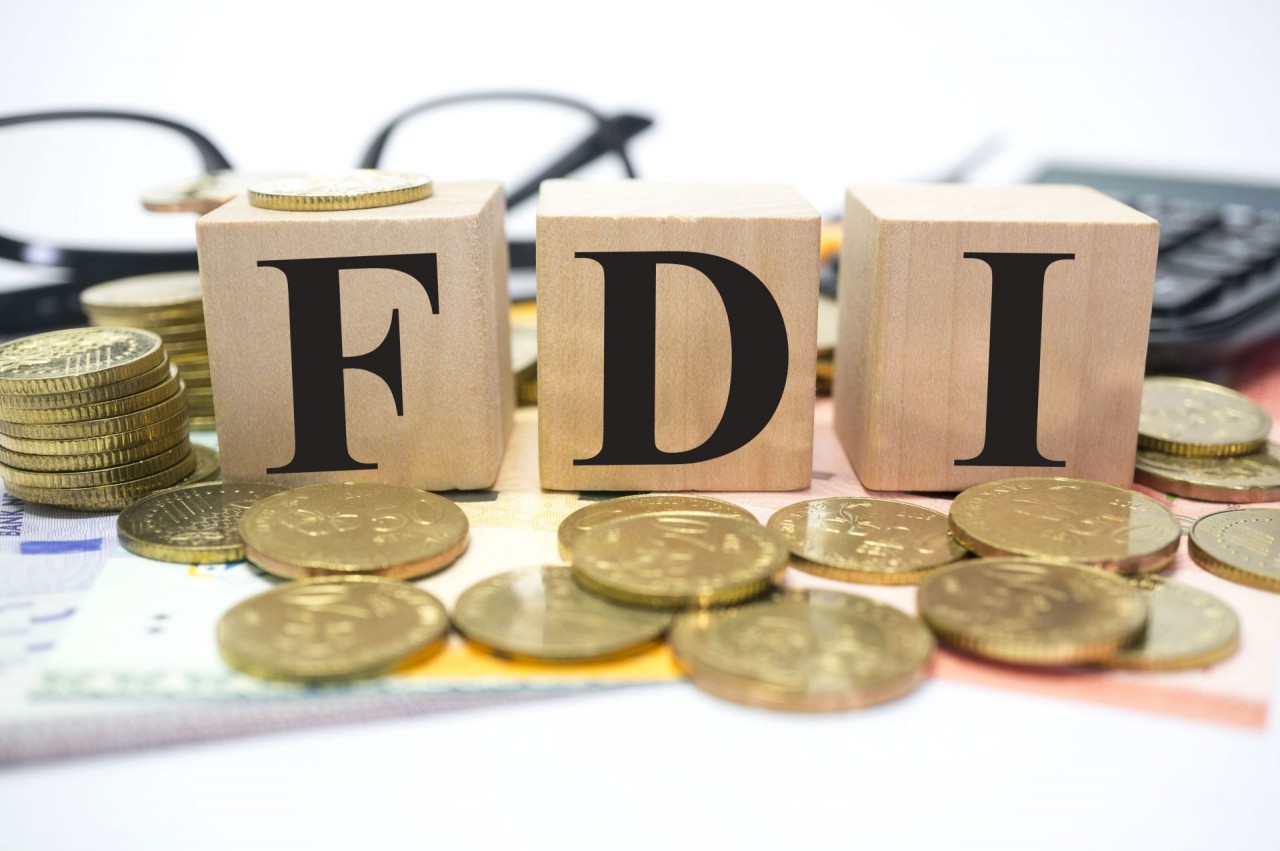 FDI disbursements rise slightly in JanuaryJune