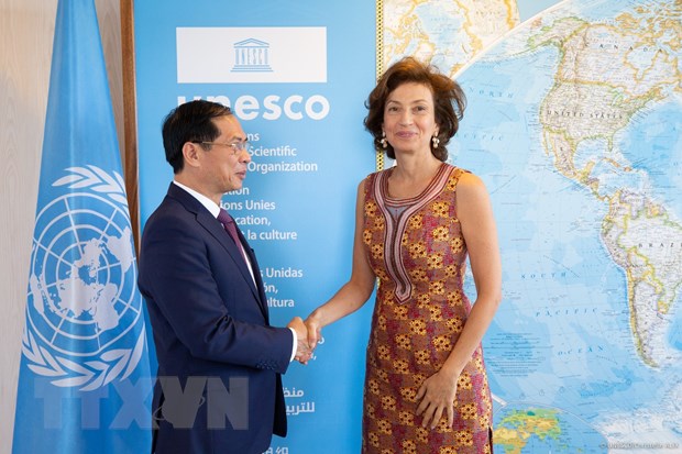 Viet Nam is a successful example in linking economic development and culture: UNESCO Director-General - Ảnh 1.