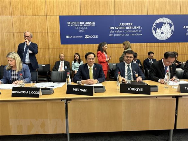Foreign Minister attends meeting of OECD Council at Ministerial Level - Ảnh 1.