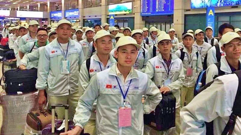 Xuất khẩu lao động Nhật Bản: Mở ra cơ hội nghề nghiệp và đời sống mới cho người Việt