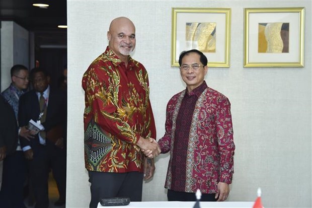 Foreign Minister meets counterparts on sidelines of ASEAN Summit  - Ảnh 1.