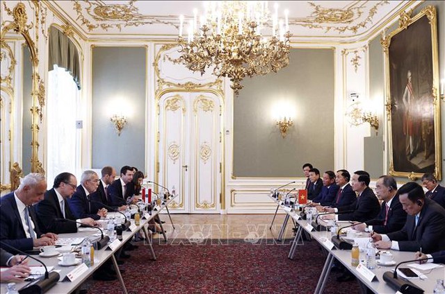 Vietnamese, Austrian Presidents hold talks - Ảnh 1.