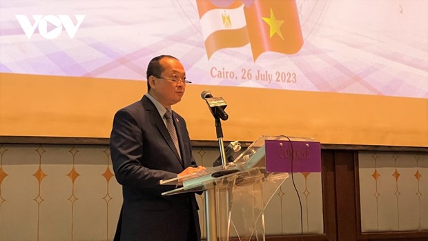 Viet Nam, Egypt celebrate 60th anniversary of diplomatic ties - Ảnh 1.