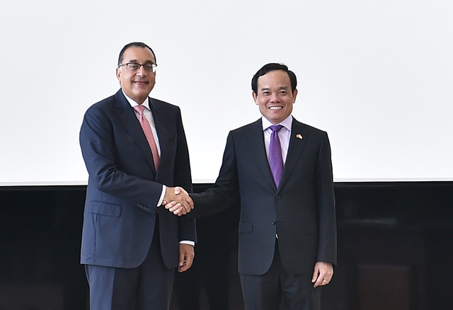 Viet Nam, Egypt pledge to facilitate respective investment projects  - Ảnh 1.