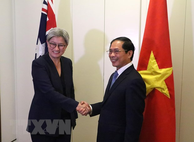 Australia attaches importance to relations with Viet Nam: expert - Ảnh 1.