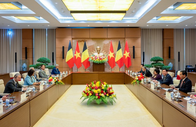 Top Vietnamese, Belgian legislators hold talks  - Ảnh 3.