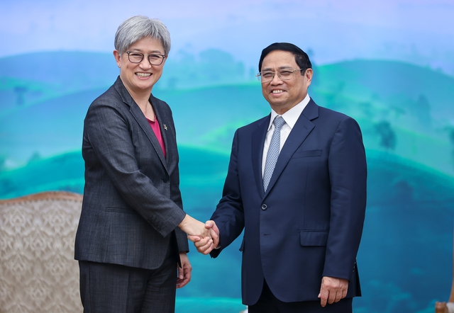 Gov’t chief receives Australian Foreign Minister - Ảnh 1.