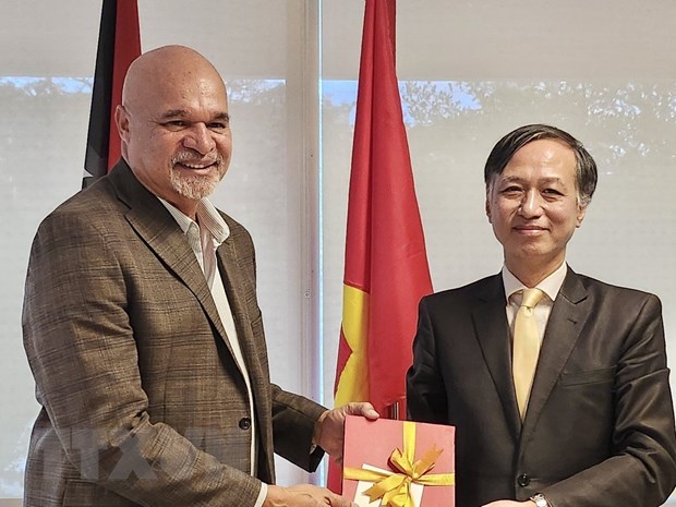 Papua New Guinea wants to upgrade relations with Viet Nam: Governor-General - Ảnh 1.