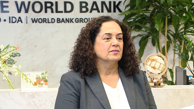 Gov’t supports economy through effective monetary, fiscal policies: WB economist - Ảnh 1.