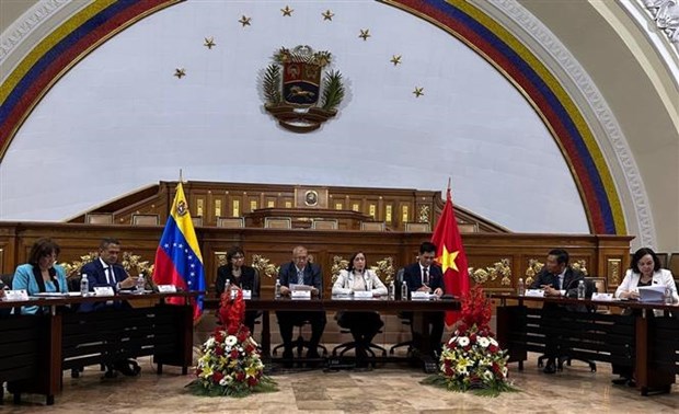 Viet Nam, Venezuela enhance cooperation in ethnic affairs - Ảnh 1.