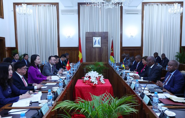 Vice President holds talks with Mozambican Prime Minister - Ảnh 1.
