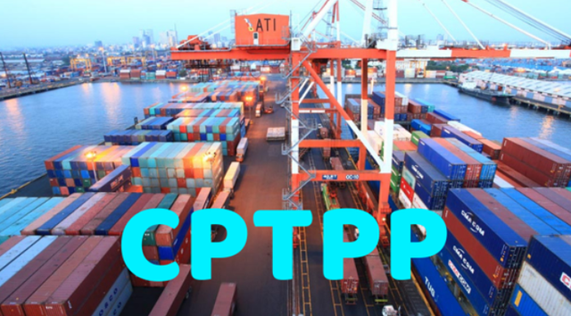 Three more nations enjoy preferential import and export tariffs under CPTPP - Ảnh 1.