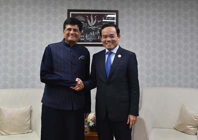 Viet Nam, India vow to foster sustainable trade - Ảnh 1.