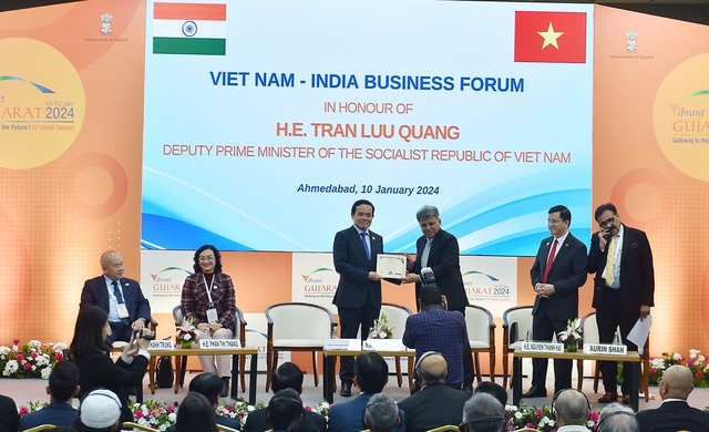 Deputy PM addresses Viet Nam-India Business Forum- Ảnh 1.